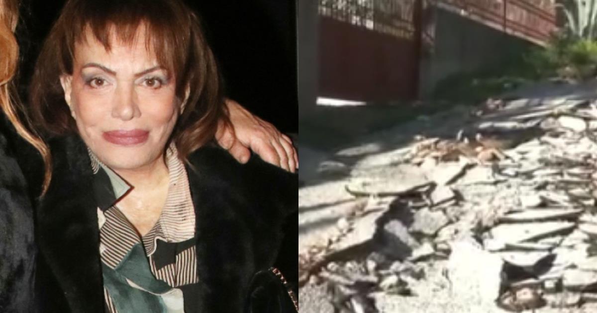 Μαίρη Χρονοπούλου: Τεράστιες καταστροφές έξω από το σπίτι της στην Αττική μετά την κακοκαιρία