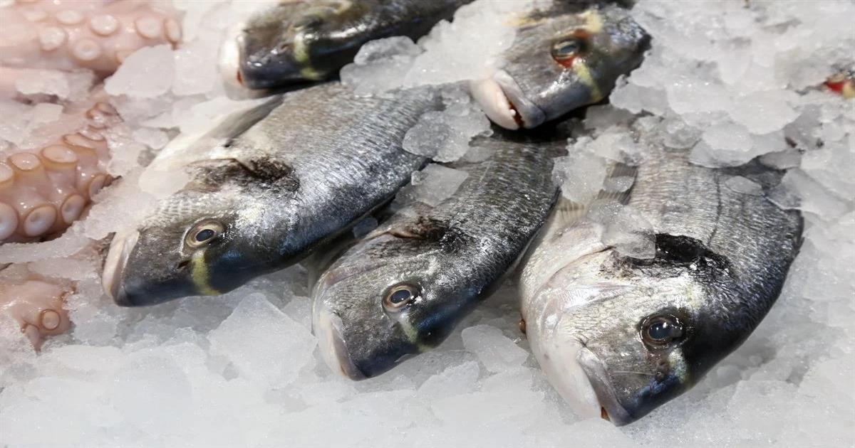 3 γρήγοροι και αποτελεσματικοί τρόποι για να ξεπαγώσετε τα ψάρια