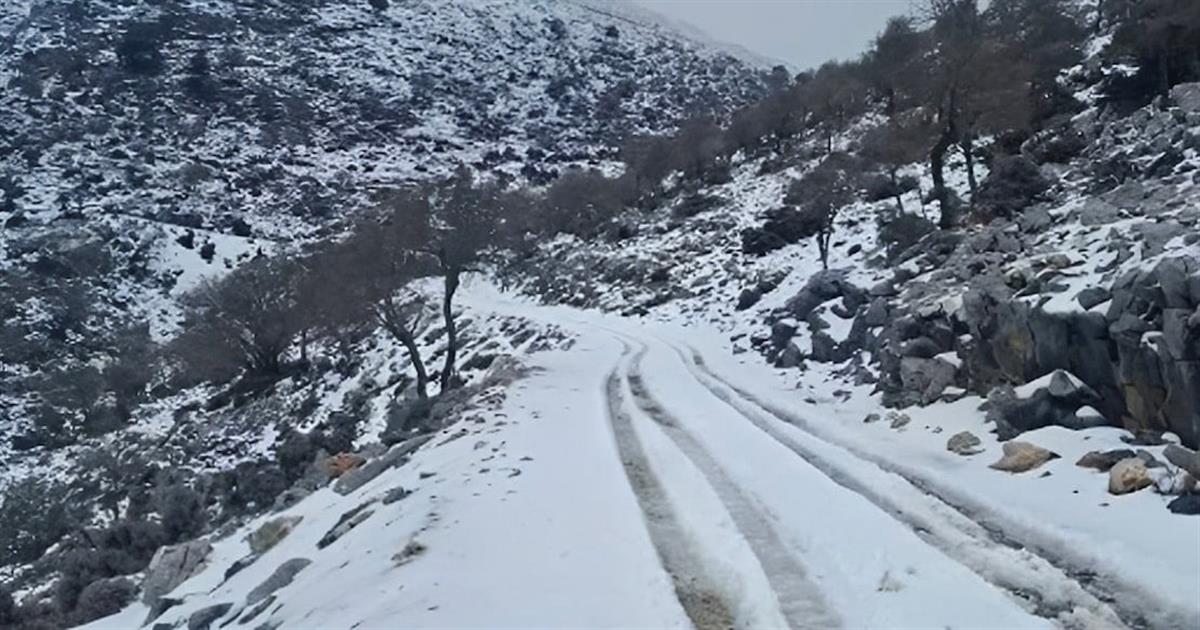 Ψυχρή εισβολή από την Αρκτική απειλεί την Ελλάδα – Κίνδυνος παγετού και ζημιών στην αγροτική παραγωγή