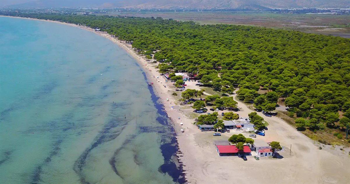 Μονοήμερη τώρα: Αυτές οι παραλίες κοντά στην Αθήνα είναι ό,τι πιο κοντινό σε νησί