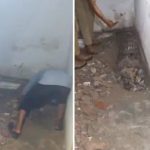 ΤΕΡΑΣΤΙΑ ΑΝΑΤΡΟΠΗ ΣΤΟ ΦΟΝΙΚΟ: ΤΕΛΙΚΑ ΤΟΝ ΣΚΟΤΩΣΕ Η ΓΥΝΑΙΚΑ ΤΟΥ ΚΑΙ ΤΟΝ ΕΦΑΨΕ ΣΤΟ ΜΠΑΝΙΟ – ΕΣΠΑΣΑΝ ΤΑ ΠΛΑΚΑΚΙΑ ΟΙ ΑΣΤΥΝΟΜΙΚΟΙ ΚΑΙ…