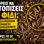 Μπορείς να εντοπίσεις το φίδι; Η οπτική πρόκληση που δυσκολεύει τους περισσότερους