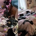Βασιλιάδες της ακαταστασίας: Ποια είναι τα 3 πιο ανοργάνωτα ζώδια