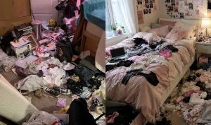 Βασιλιάδες της ακαταστασίας: Ποια είναι τα 3 πιο ανοργάνωτα ζώδια