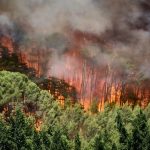 ΕΘΝΙΚΗ ΤΡΑΓΩΔΙΑ: ΣΤΟΥΣ 12 ΟΙ ΝΕΚΡΟΙ ΑΠΟ ΤΗΝ ΤΕΡΑΣΤΙΑ ΦΩΤΙΑ – ΑΚΟΜΗ ΠΡΟΣΠΑΘΕΙ ΝΑ ΤΗΝ ΣΒΗΣΕΙ Η ΠΥΡΟΣΒΕΣΤΙΚΗ