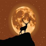 Το «Φεγγάρι του Κόκκινου Ελαφιού» αλλάζει τα δεδομένα – Τα 4 ζώδια που θα ζήσουν μεγάλες αλλαγές