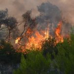 Ραγδαίες εξελίξεις στη Χώρα μας: Η φωτιά πλησιάζει τον οικισμό – Αγωνία μετά το μήνυμα του 112