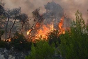 Ραγδαίες εξελίξεις στη Χώρα μας: Η φωτιά πλησιάζει τον οικισμό – Αγωνία μετά το μήνυμα του 112