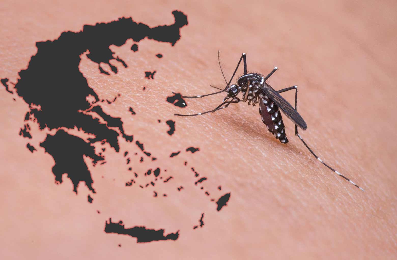 Ιός Δυτικού Νείλου: Τι πρέπει να γνωρίζετε αν σας τσιμπήσει κουνούπι – Πως θα καταλάβετε αν ήταν μολυσμένο