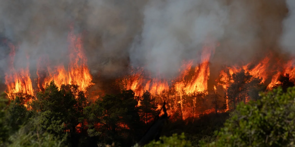 ΤΡΑΓΩΔΙΑ: ΝΕΚΡΟΣ ΕΝΑΣ ΕΘΕΛΟΝΤΗΣ ΠΥΡΟΣΒΕΣΤΗΣ ΚΑΙ 78.000 ΣΤΡΕΜΜΑΤΑ ΕΓΙΝΑΝ ΣΤΑΧΤΗ