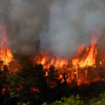 ΤΡΑΓΩΔΙΑ: ΝΕΚΡΟΣ ΕΝΑΣ ΕΘΕΛΟΝΤΗΣ ΠΥΡΟΣΒΕΣΤΗΣ ΚΑΙ 78.000 ΣΤΡΕΜΜΑΤΑ ΕΓΙΝΑΝ ΣΤΑΧΤΗ