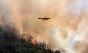 ΕΚΤΑΚΤΟ: Καίγεται η Ελλάδα μας – Μεγάλη φωτιά τώρα σε μια απο τις ομορφότερες περιοχές της Ελλάδας