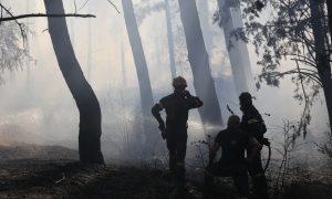 Μεγάλη φωτιά τώρα στη χώρα μας: Ήχησε το 112, στη μάχη εναέρια μέσα