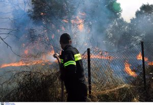 Φωτιά τώρα στο Ίνι Ηρακλείου: Στο σημείο 42 πυροσβέστες, 13 οχήματα και 1 ελικόπτερο