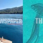 Μωβ μέδουσες σε διάσημη ελληνική παραλία: Έκπληκτοι οι λουόμενοι, βγήκαν άρον άρον από την θάλασσα – Δείτε φωτογραφίες