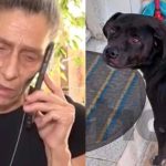Συγκλονίζει η γυναίκα που o σκύλος της πέθανε στα Πετράλωνα – «Έχασα το μοναδικό μου στήριγμα»