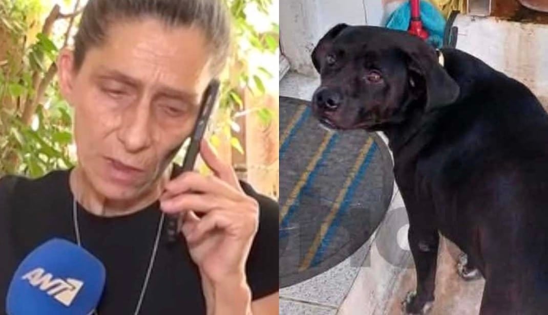 Συγκλονίζει η γυναίκα που o σκύλος της πέθανε στα Πετράλωνα - «Έχασα το μοναδικό μου στήριγμα»
