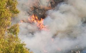 ΕΚΤΑΚΤΟ 112 στη χώρα μας – Μεγάλη κινητοποίηση εναέριων πυροσβεστικών δυνάμεων. Οι κάτοικοι να ακολουθούν τις οδηγίες των Αρχών