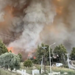 Καίγεται η Ελλάδα μας: Πύρινη «κόλαση» τώρα στη Χαλκιδική – Μαζική φυγή κατοίκων και παραθεριστών- Ήχησε το 112v