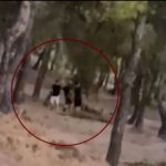 Εντοπίστηκαν οι 13χρονοι που έπαιζαν με τη φωτιά μέσα σε δάσος στην Πεντέλη για ένα “παιχνίδι”
