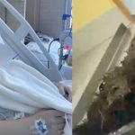 ΣΟΚ: Νόμιζαν ότι ήταν δυσανεξία στη γλουτένη – Αυτό που βρήκαν οι γιατροί στο στομάχι της 14χρονης δεν το πίστευε κανείς