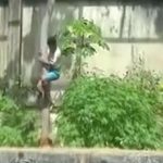 Τον έφαγε ζωντανό μπροστά στα μάτια των επισκεπτών – 19χρονος μπήκε σε κλουβί με λιοντάρι
