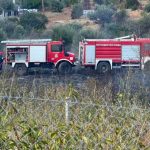 Φωτιά στη λεωφόρο Βάρης-Κορωπίου – Κατεσβέσθη μέσα σε 20 λεπτά
