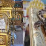 Στο φως το μεγάλο μυστήριο της Κεφαλονιάς: Εμφανίστηκαν τα «Φιδάκια της Παναγίας» – Τι έχει συμβεί τις χρονιές που δεν βγήκαν