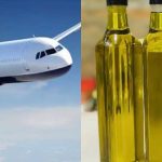 Πάγωσε ο τουρίστας στην Κρήτη: Του απαγόρευσαν να πάρει ελαιόλαδο στο αεροπλάνο – Η λύση που έδωσε αστυνομικός την τελευταία στιγμή «Μην ανησυχείτε θα σας βοηθήσω»