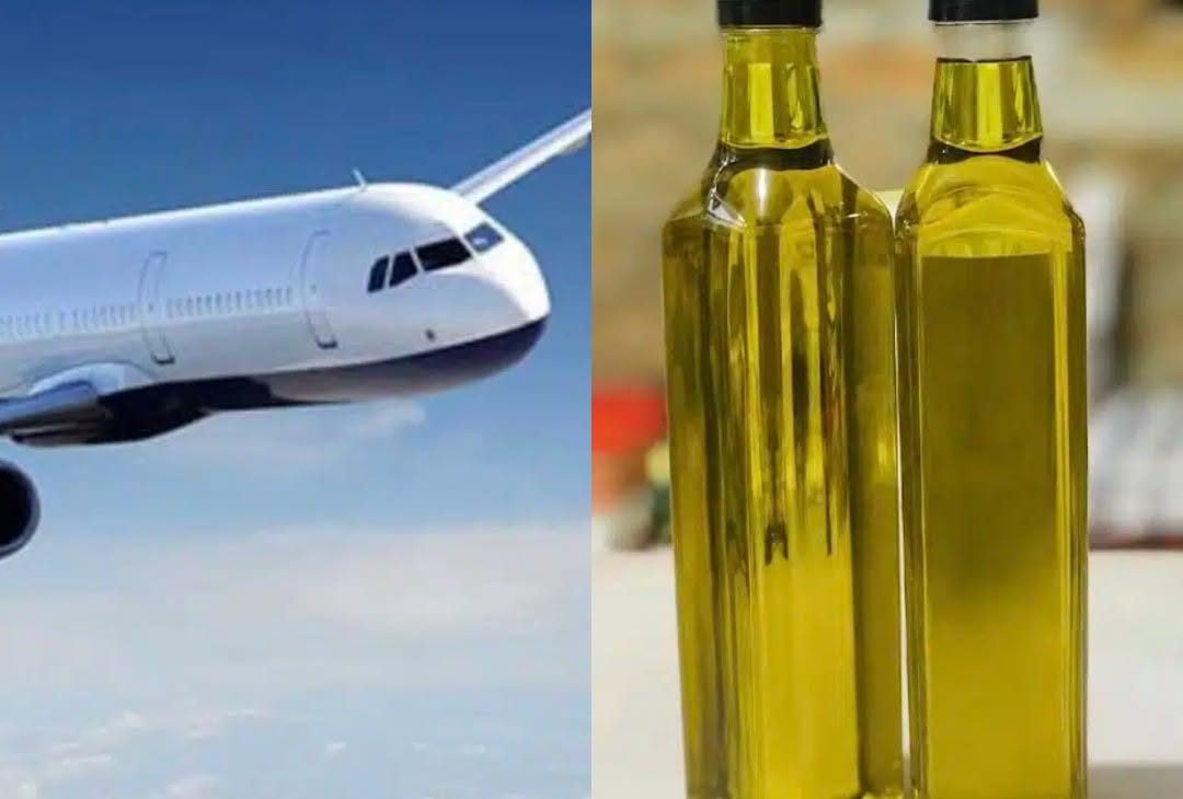 Πάγωσε ο τουρίστας στην Κρήτη: Του απαγόρευσαν να πάρει ελαιόλαδο στο αεροπλάνο – Η λύση που έδωσε αστυνομικός την τελευταία στιγμή «Μην ανησυχείτε θα σας βοηθήσω»