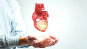 Διατροφολόγος αποκαλύπτει 7 τρόφιμα που επιλέγει καθημερινά για γερή καρδιά και μυαλό-ξυράφι