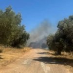 ΦΩΤΙΑ ΣΤΗΝ ΑΤΤΙΚΗ – ΒΡΕΘΗΚΕ ΑΠΑΝΘΡΑΚΩΜΕΝΗ ΣΟΡΟΣ