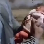 Δεν το χωρά ανθρώπινος νους: Υπάλληλος καθαριότητας βρήκε νεογέννητο κοριτσάκι πεταμένο στα σκουπίδια – Η συνέχεια λυγίζει και τον πιο σκληρό
