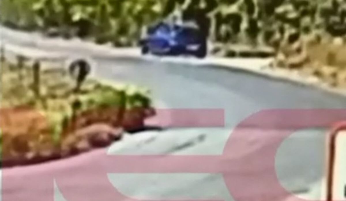 Εξοργιστικό βίντεο από τη Σίνδο: 59χρονος βάζει φωτιά σε ξερά χόρτα και φεύγει – Κατηγορείται για 6 εμπρησμούς