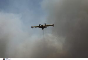 Φωτιά Τώρα: Καίγεται ορεινός όγκος – Συναγερμός για την εξάπλωση, τι φοβούνται οι ειδικοί