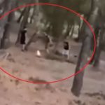 Άνω Βριλήσσια: «Challenge» ανηλίκων μέσα σε δάσος – Βάζουν φωτιά και μετά προσπαθούν να τη σβήσουν