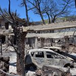 Σαλαμίνα: Από αμέλεια ηλικιωμένης η φωτιά στα Περιστέρια – Μαρτυρία για εμπρησμό για τη δεύτερη εστία στα Σελίνια