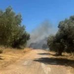 ΦΩΤΙΑ ΣΤΗΝ ΑΤΤΙΚΗ – ΒΡΕΘΗΚΕ ΑΠΑΝΘΡΑΚΩΜΕΝΗ ΣΟΡΟΣ