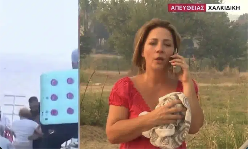 Φωτιά στη Χαλκιδική : Επίθεση τώρα σε συνεργείο του MEGA – Χτύπησαν τη δημοσιογράφο, έσπασαν κινητά, μικρόφωνα