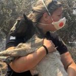 Βοιωτία: Η διοικήτρια του Α.Τ. Μάνδρας έσωσε κατσικάκι από τις φλόγες