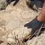 Βίντεο με τους αστυνομικούς να εντοπίζουν την τσάντα Hermès και το Rolex που άρπαξε Έλληνας οδηγός από Ουκρανό τουρίστα στη Μύκονο