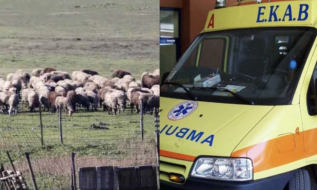 Θλίψη: Τον έβαλαν να θανατώσει τα ζώα του και πέθανε από την στεναχώρια του