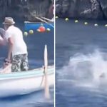 Κεφαλονιά: Έπεσαν… σφαλιάρες εν πλω – Κατέληξε στη θάλασσα ο ένας από τους δύο