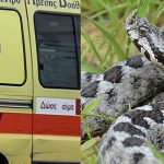 Οχιά δάγκωσε 18 μηνών βρέφος και τον 14χρονο αδερφό του