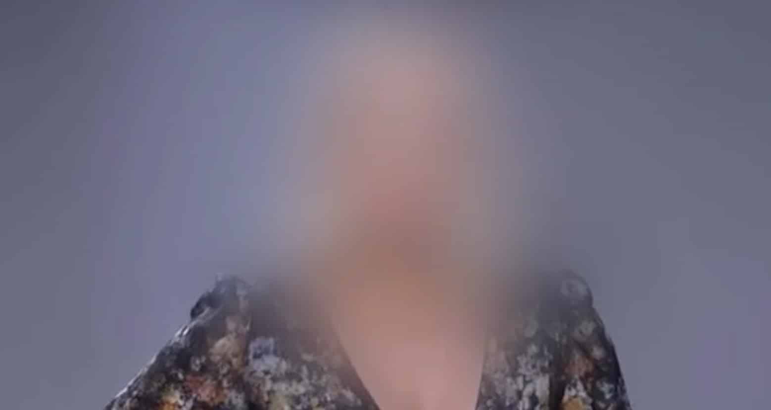 ΚΥΚΛΩΜΑ ΝΑΡΚΩΤΙΚΩΝ ΣΤΗΝ ΑΤΤΙΚΗ: ΑΥΤΗ ΕΙΝΑΙ Η ΤΡΑΓΟΥΔΙΣΤΡΙΑ ΚΑΙ Ο ΤΗΛΕΟΠΤΙΚΟΣ ΨΥΧΟΛΟΓΟΣ ΠΟΥ ΕΜΠΛΕΚΟΝΤΑΙ ΣΤΗ ΔΙΚΟΓΡΑΦΙΑ