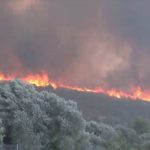 Συναγερμός στην Εύβοια: Μεγάλη φωτιά στη Μακρυκάπα – Εντολή εκκένωσης μέσω 112