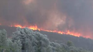 Συναγερμός στην Εύβοια: Μεγάλη φωτιά στη Μακρυκάπα – Εντολή εκκένωσης μέσω 112