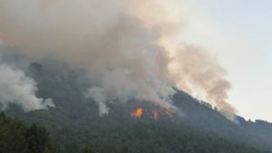 Μεγάλη φωτιά στην Αττική: Μαυρίζει ο ουρανός – Μεγάλη κινητοποίηση της Πυροσβεστικής