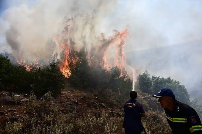 Συναγερμός στη χώρα: Νέα φωτιά ξέσπασε τώρα – Αγώνας να μην ξεφύγει η κατάσταση