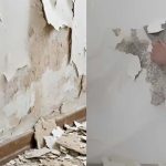 Πώς να αντιμετωπίσετε μουχλιασμένους, φουσκωμένους ή ξεφλουδισμένους τοίχους χωρίς να προσλάβετε επαγγελματία